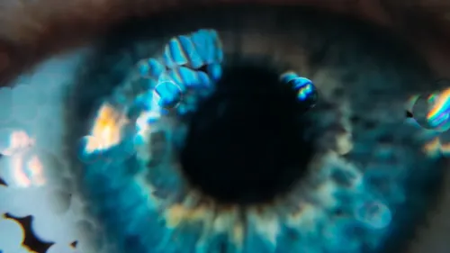 Particles Image Animation