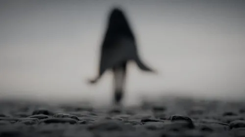 Abstract Walking Figure